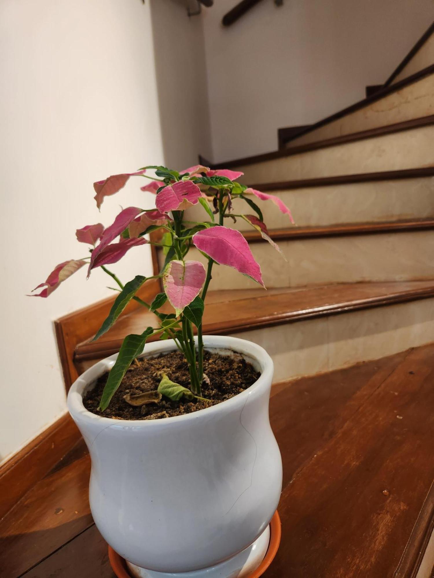 Ederra Stays & Cafe 파나지 외부 사진
